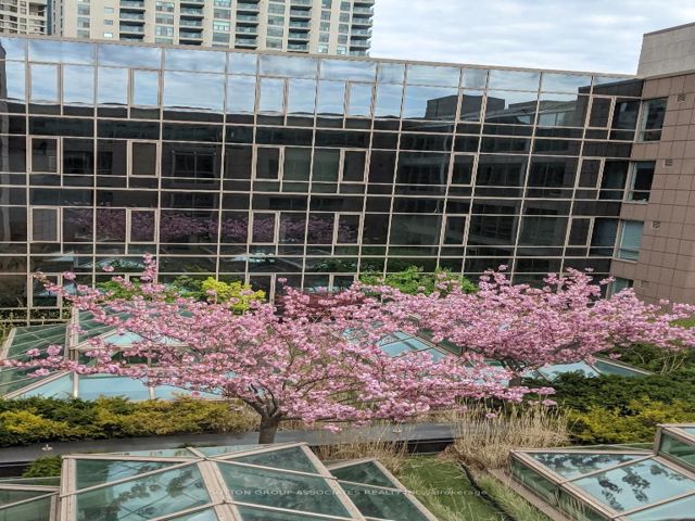 1116 - 211 QUEENS QUAY WEST