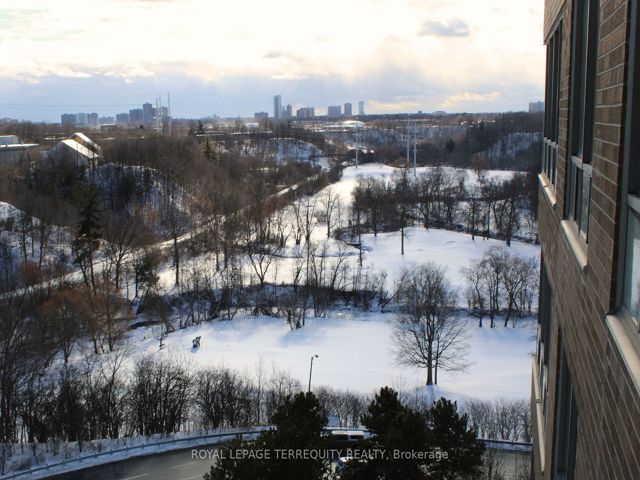 1106 - 195 Wynford Dr