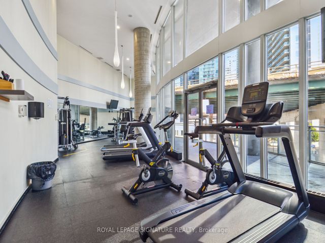 223 - 38 Dan Leckie Way