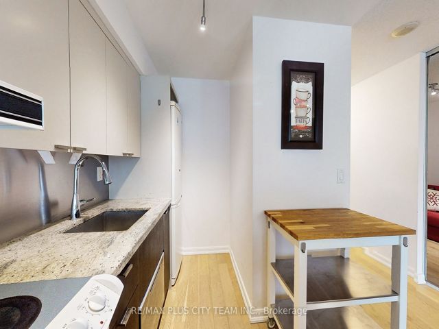 308 - 111 Elizabeth St