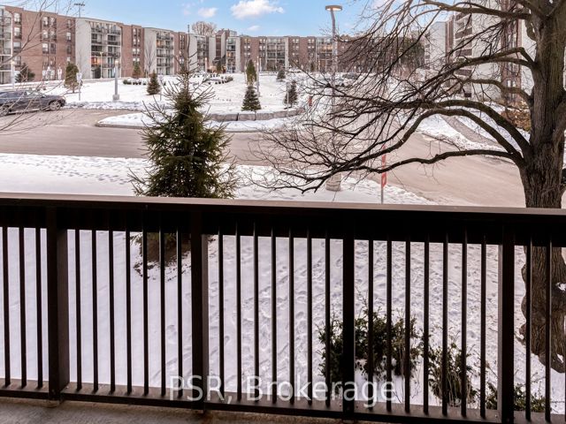 206E - 30 Fashion Roseway