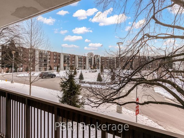 206E - 30 Fashion Roseway