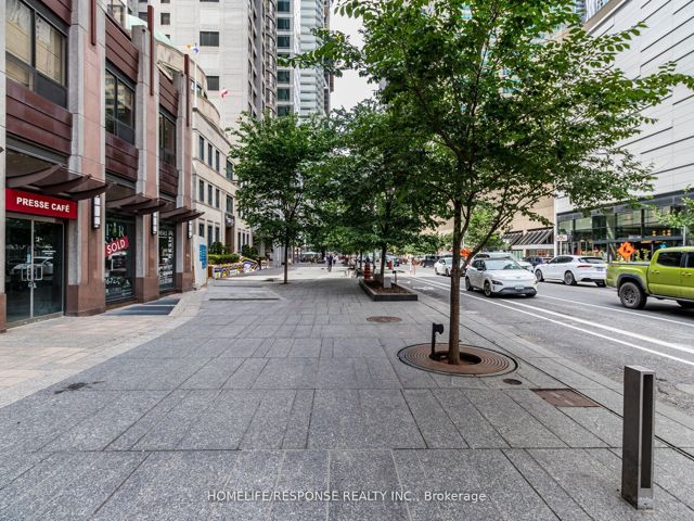 802 - 85 Bloor St E