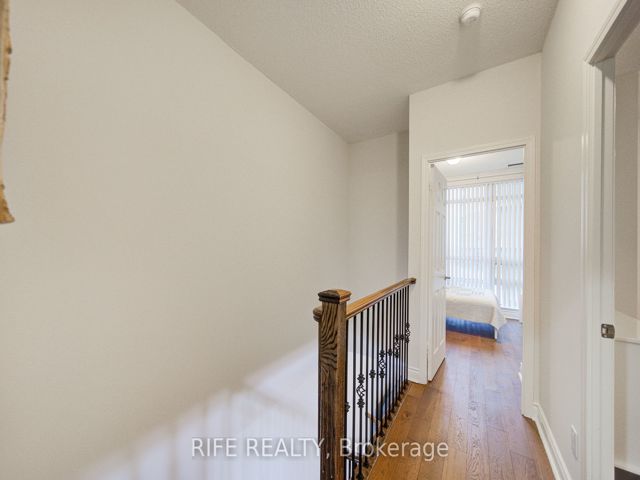 223 - 31 Olive Ave