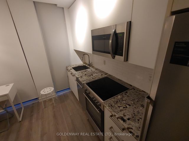 1110 - 28 Wellesley St E