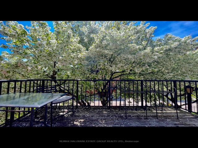 202 - 262 St Helens Ave