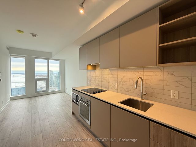 3312 - 55 Mercer St