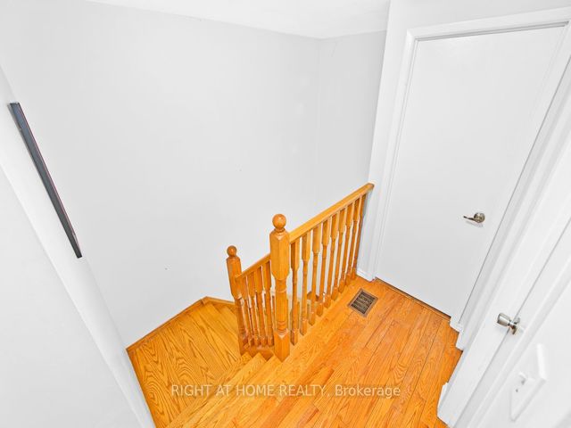 5 - 50 Silver bell Grve