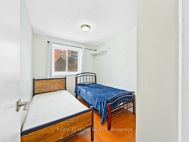 5 - 50 Silver bell Grve
