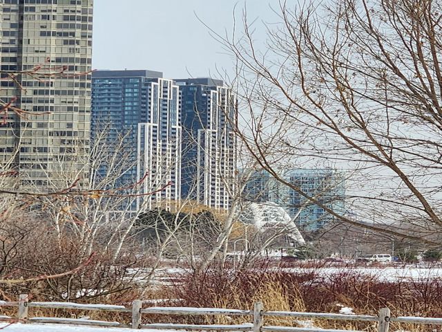 1111 - 38 Annie Craig Dr