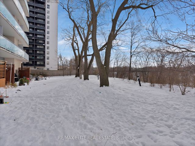 101 - 2464 Weston Rd
